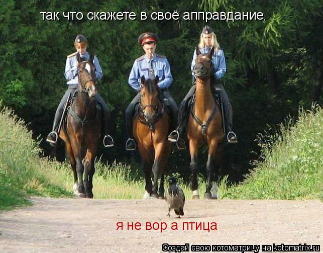 Котоматрица: так что скажете в своё апправдание я не вор а птица