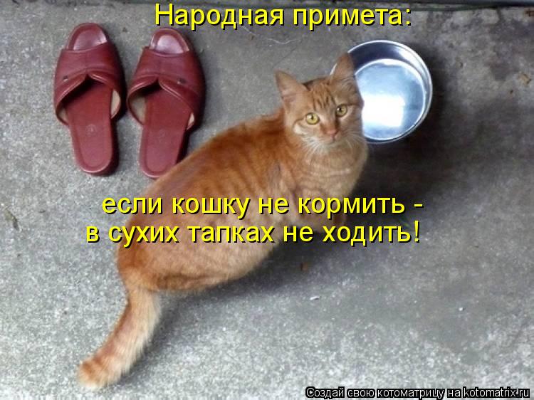 Котоматрица: Народная примета: если кошку не кормить -  в сухих тапках не ходить!