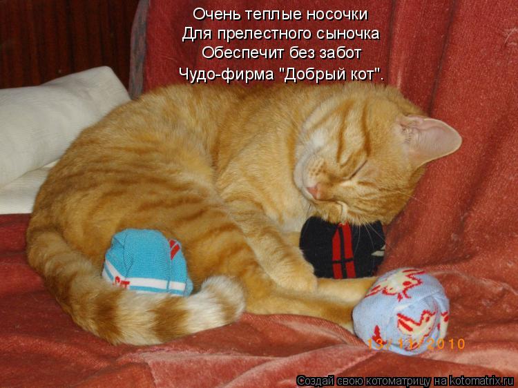 Котоматрица: Очень теплые носочки Для прелестного сыночка Обеспечит без забот Чудо-фирма "Добрый кот".