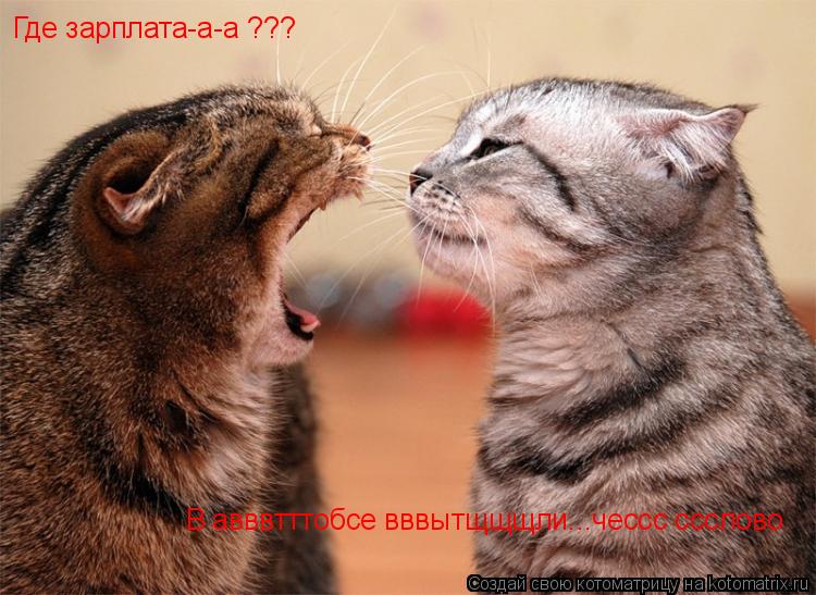 Котоматрица: Где зарплата-а-а ??? В авввтттобсе вввытщщщли...чессс ссслово