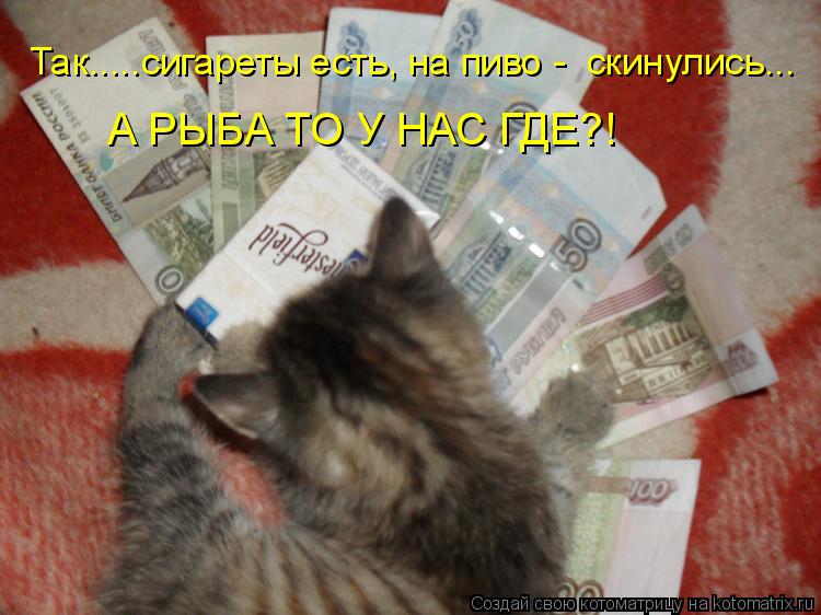 Котоматрица: Так.....сигареты есть, на пиво -  скинулись... А РЫБА ТО У НАС ГДЕ?!