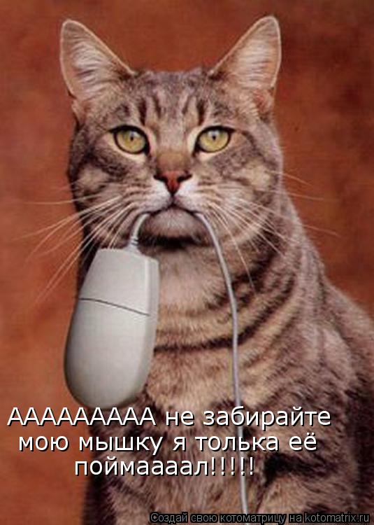 ААААААААА не забирайте мою мышку я толька её поймаааал!!!!!... Котоматрица: ААААААААА не забирайте мою мышку я толька её поймаааал!!!!!