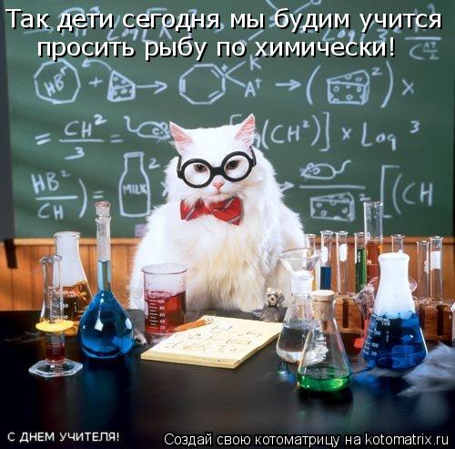 Так дети сегодня мы будим учится просить рыбу по химически!... Котоматрица: Так дети сегодня мы будим учится просить рыбу по химически!