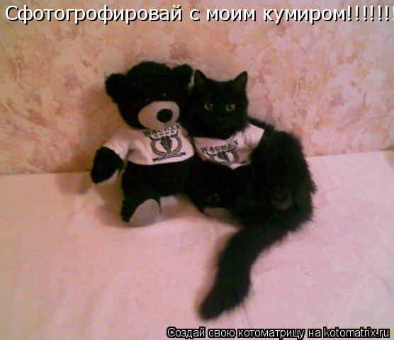 Сфотогрофировай с моим кумиром!!!!!!!... Котоматрица: Сфотогрофировай с моим кумиром!!!!!!!