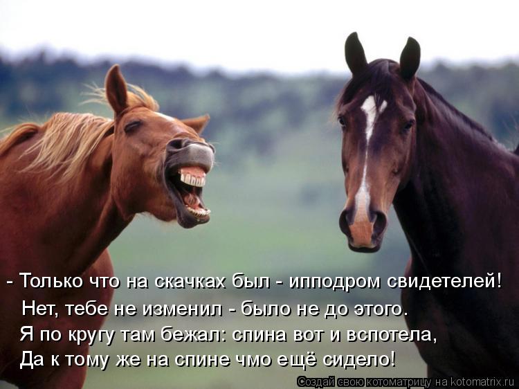 - Только что на скачках был - ипподром свидетелей! Нет, тебе не изменил - было не до этого. Да к тому... Котоматрица: - Только что на скачках был - ипподром свидетелей! Нет, тебе не изменил - было не до этого. Да к тому же на спине чмо ещё сидело! Я по кругу там б
