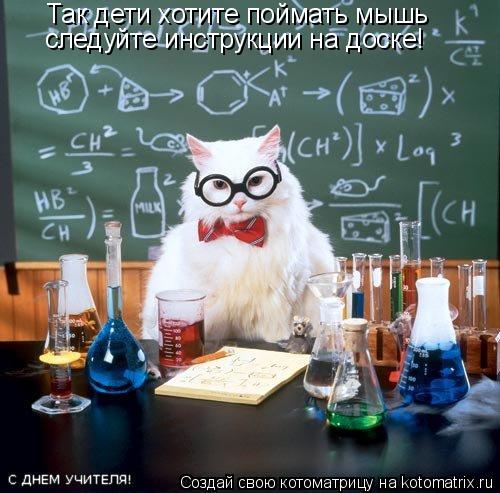 Так дети хотите поймать мышь следуйте инструкции на доске!... Котоматрица: Так дети хотите поймать мышь следуйте инструкции на доске!