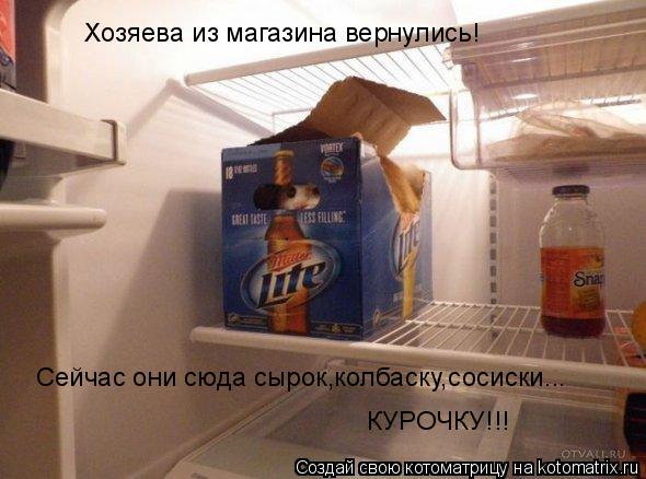Котоматрица: Хозяева из магазина вернулись! Сейчас они сюда сырок,колбаску,сосиски... КУРОЧКУ!!!