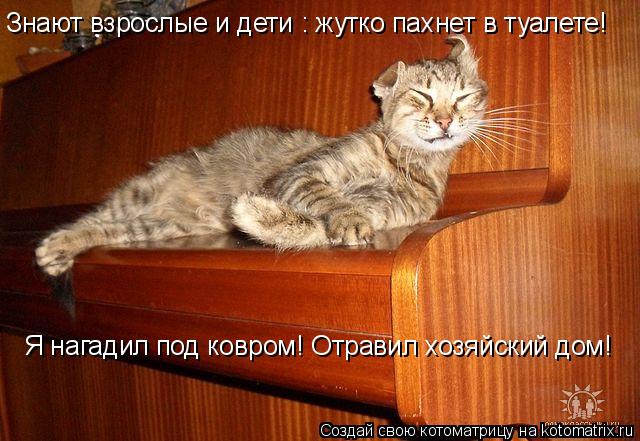 Котоматрица: Знают взрослые и дети : жутко пахнет в туалете!  Я нагадил под ковром! Отравил хозяйский дом!