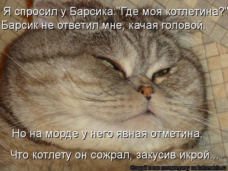 Я спросил у Барсика:"Где моя котлетина?" Барсик не ответил мне, качая головой. Но на морде у него явн... Котоматрица: Я спросил у Барсика:"Где моя котлетина?" Барсик не ответил мне, качая головой. Но на морде у него явная отметина, Что котлету он сожрал, закус