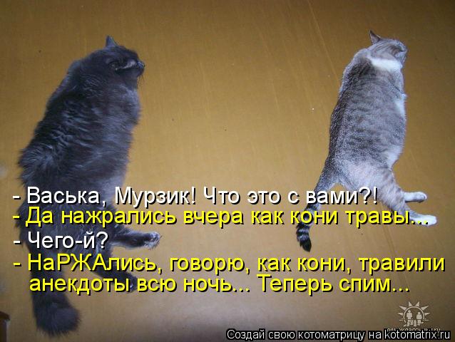 Котоматрица: - Васька, Мурзик! Что это с вами?! - Да нажрались вчера как кони травы... - Чего-й? - НаРЖАлись, говорю, как кони, травили анекдоты всю ночь... Тепер