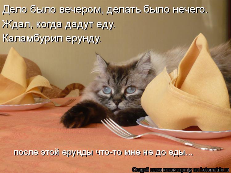 Котоматрица: Дело было вечером, делать было нечего. Ждал, когда дадут еду. Каламбурил ерунду. после этой ерунды что-то мне не до еды...