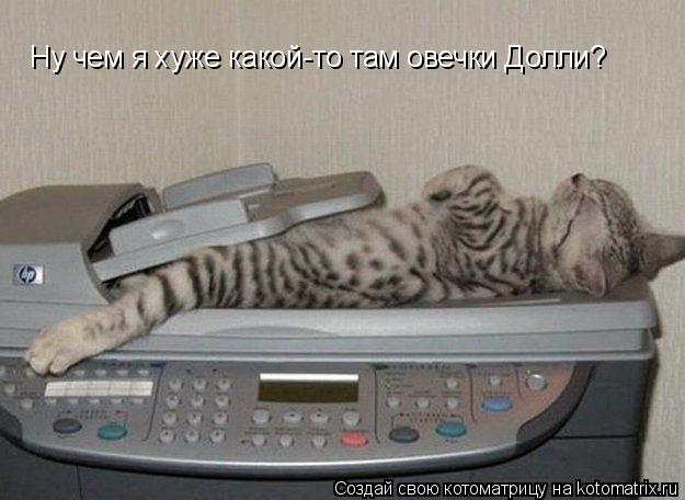 Котоматрица: Ну чем я хуже какой-то там овечки Долли?