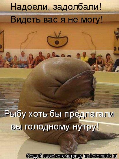 Котоматрица: Надоели, задолбали! Видеть вас я не могу! Рыбу хоть бы предлагали вы голодному нутру!