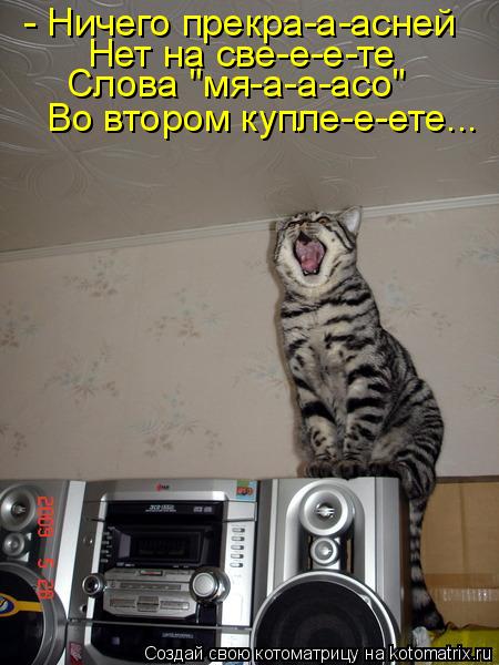 Котоматрица: - Ничего прекра-а-асней Нет на све-е-е-те Слова "мя-а-а-асо" Во втором купле-е-ете...