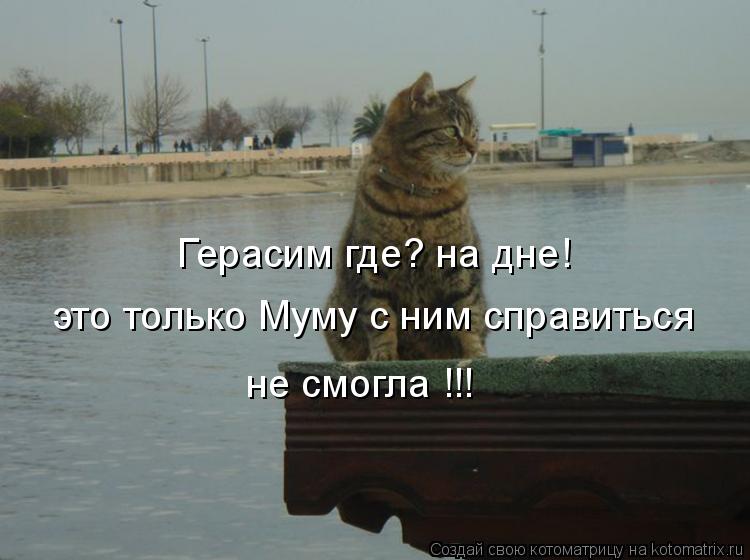 Котоматрица: Герасим где? на дне! это только Муму с ним справиться не смогла !!!