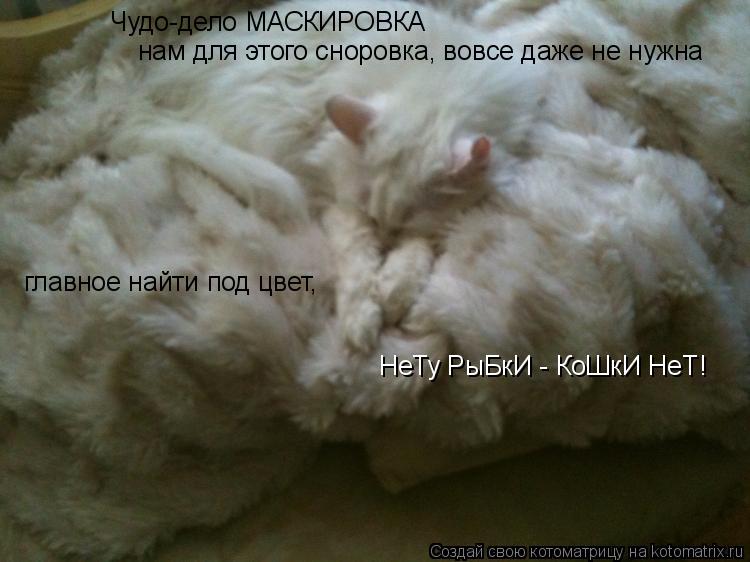 Котоматрица: Чудо-дело МАСКИРОВКА нам для этого сноровка, вовсе даже не нужна главное найти под цвет,  НеТу РыБкИ - КоШкИ НеТ!