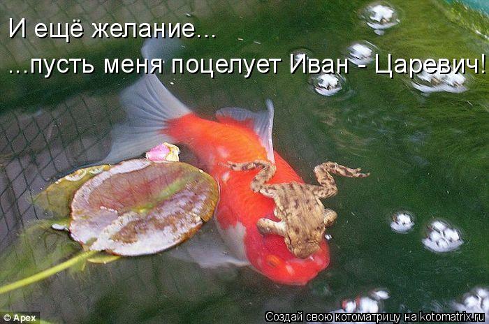 Котоматрица: И ещё желание...  ...пусть меня поцелует Иван - Царевич!