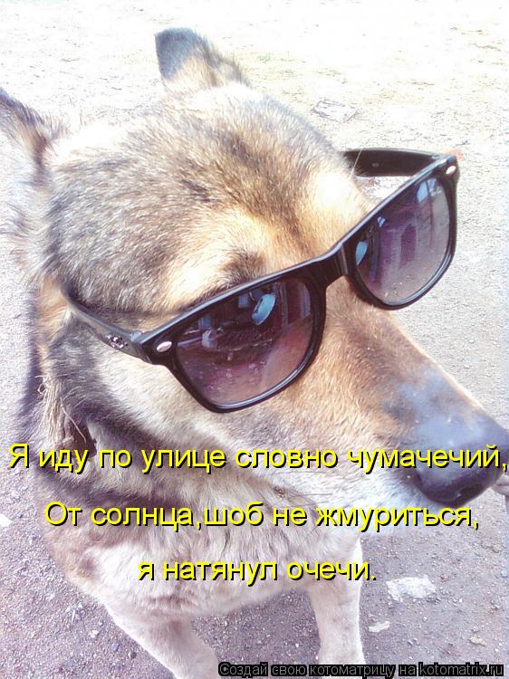 Котоматрица: Я иду по улице словно чумачечий, От солнца,шоб не жмуриться, я натянул очечи.