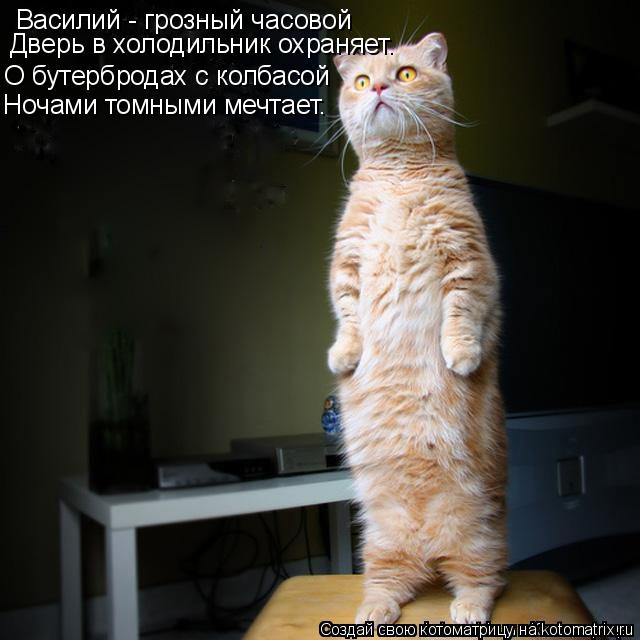 Котоматрица: Василий - грозный часовой Дверь в холодильник охраняет. О бутербродах с колбасой Ночами томными мечтает.
