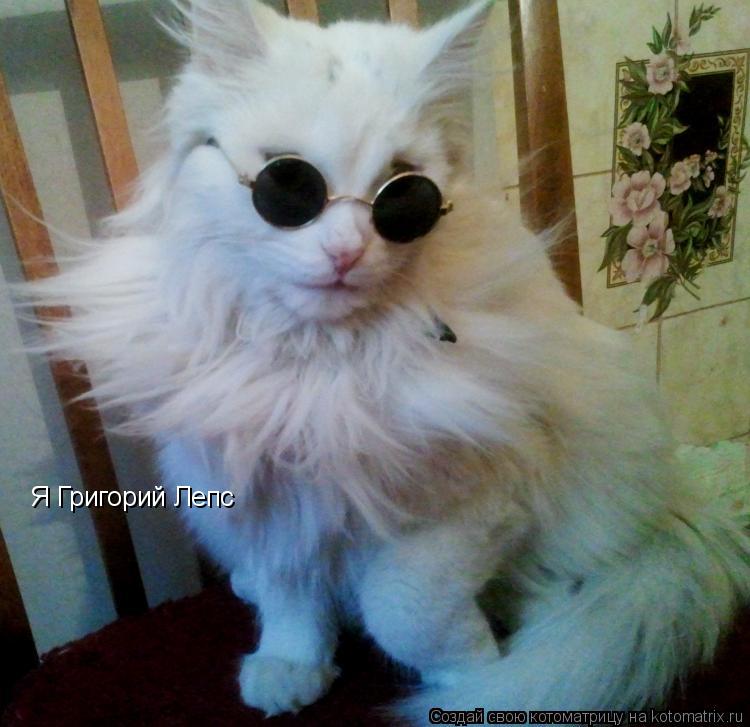 Котоматрица: Я Григорий Лепс