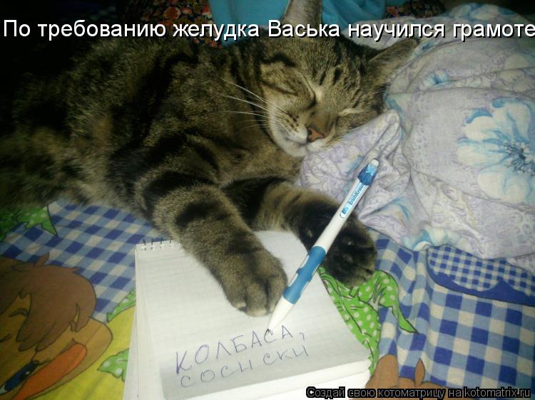 Котоматрица: По требованию желудка Васька научился грамоте.