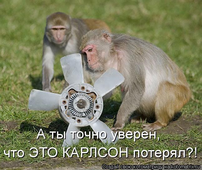 Котоматрица: А ты точно уверен, что ЭТО КАРЛСОН потерял?!