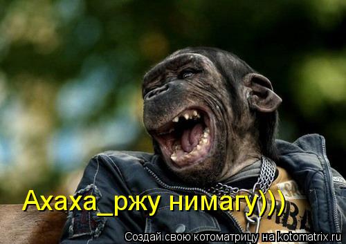 Котоматрица: Ахаха_ржу нимагу)))