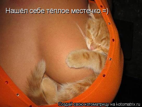 Котоматрица: Нашёл себе тёплое местечко.=)