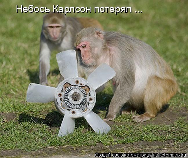 Котоматрица: Небось Карлсон потерял ...