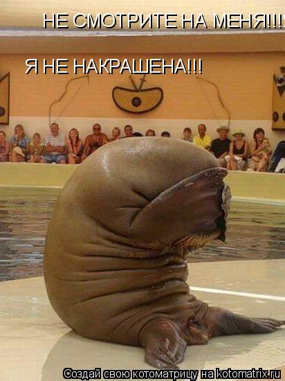 Котоматрица: НЕ СМОТРИТЕ НА МЕНЯ!!!Я НЕ НАКРАШЕНА!!! Я НЕ НАКРАШЕНА!!!