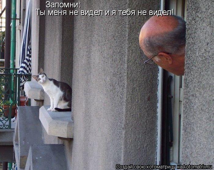 Котоматрица: Запомни: Ты меня не видел и я тебя не видел!