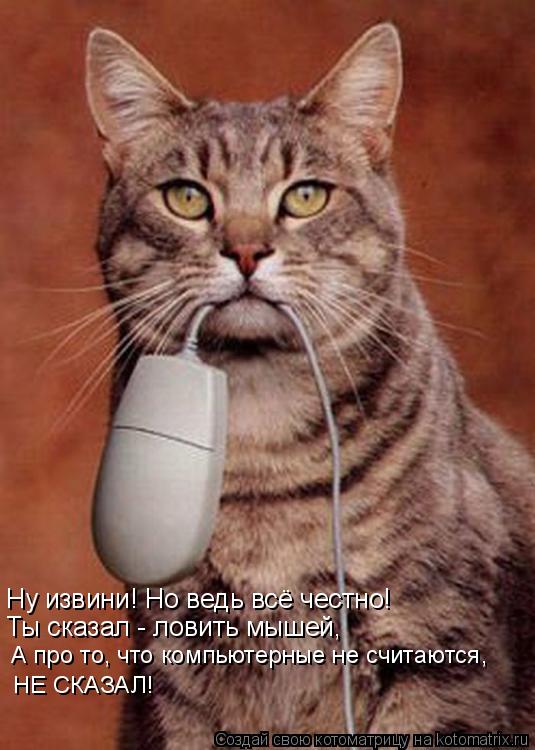 Котоматрица: Ну извини! Но ведь всё честно! Ты сказал - ловить мышей, А про то, что компьютерные не считаются, НЕ СКАЗАЛ!