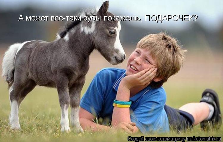 Котоматрица: А может все-таки зубы покажешь, ПОДАРОЧЕК?