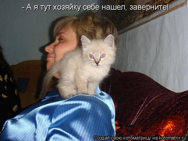 Котоматрица: - А я тут хозяйку себе нашел, заверните!