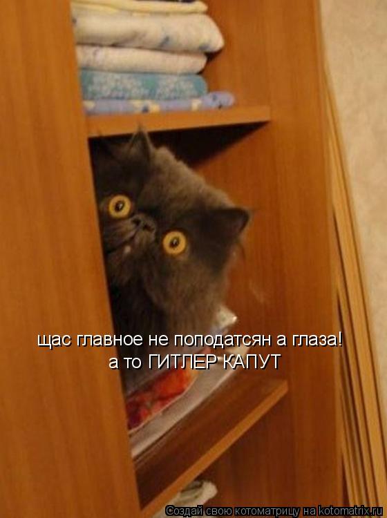 Котоматрица: щас главное не поподатсян а глаза! а то ГИТЛЕР КАПУТ
