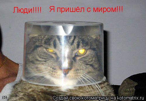 Котоматрица: Люди!!!! Я пришёл с миром!!!