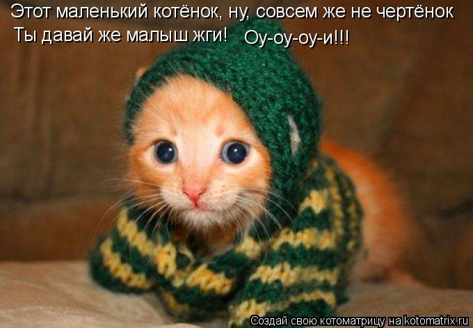 Котоматрица: Этот маленький котёнок, ну, совсем же не чертёнок Ты давай же малыш жги! Оу-оу-оу-и!!!