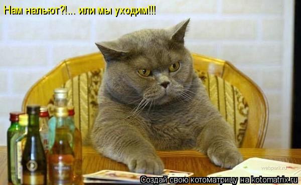 Котоматрица: Нам нальют?!... или мы уходим!!!