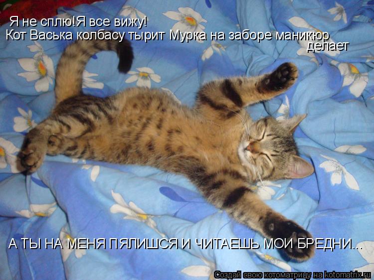 Котоматрица: Я не сплю!Я все вижу! Кот Васька колбасу тырит Мурка на заборе маникюр  делает А ТЫ НА МЕНЯ ПЯЛИШСЯ И ЧИТАЕШЬ МОИ БРЕДНИ...