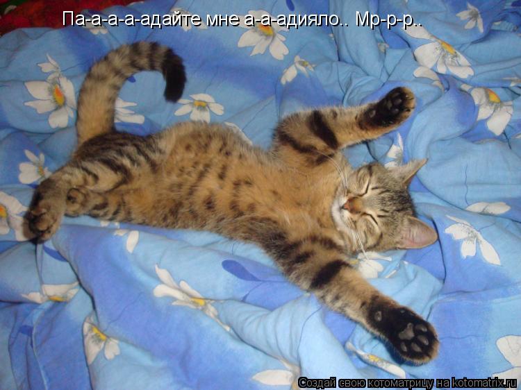 Котоматрица: Па-а-а-а-адайте мне а-а-адияло.. Мр-р-р..