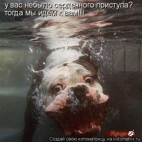 Котоматрица: у вас небыло сердечного приступа? тогда мы идём к вам!!!