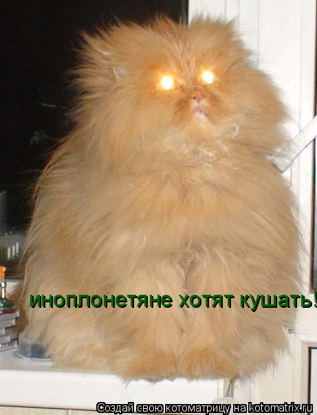 Котоматрица: иноплонетяне хотят кушать!