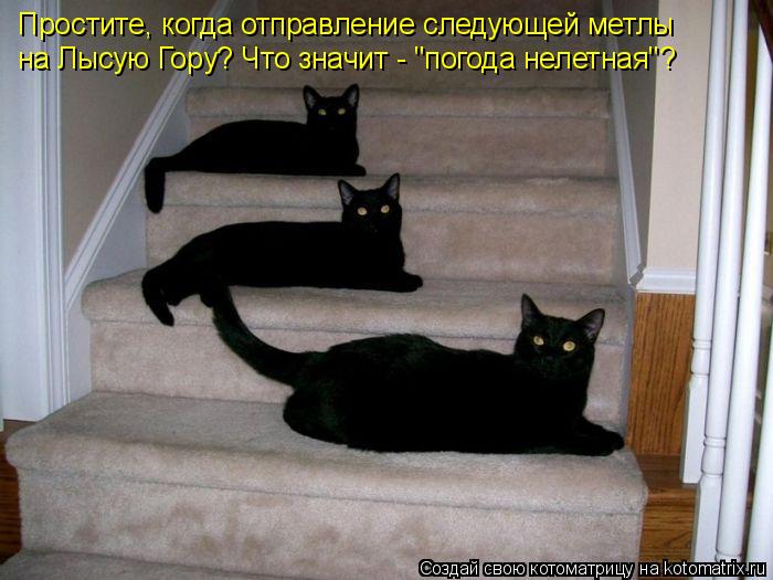Котоматрица: Простите, когда отправление следующей метлы на Лысую Гору? Что значит - "погода нелетная"?