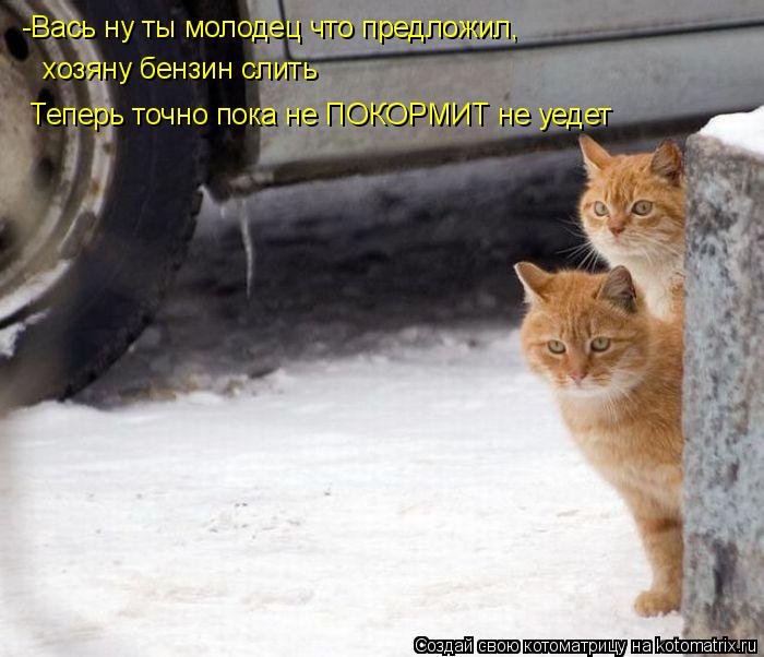 Котоматрица: -Вась ну ты молодец что предложил,  хозяну бензин слить Теперь точно пока не ПОКОРМИТ не уедет