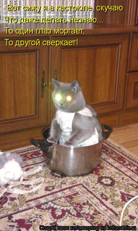 Котоматрица: Вот сижу я в кастрюле, скучаю Что даже делать незнаю... То один глаз моргает, То другой сверкает!
