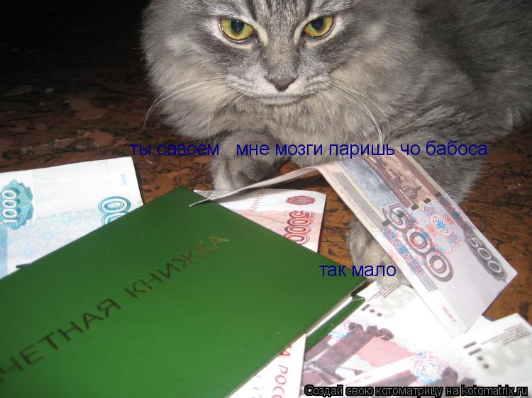 Котоматрица: ты савсем   мне мозги паришь чо бабоса так мало