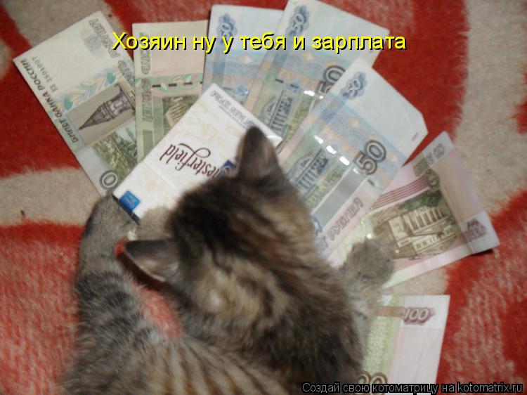 Котоматрица: Хозяин ну у тебя и зарплата
