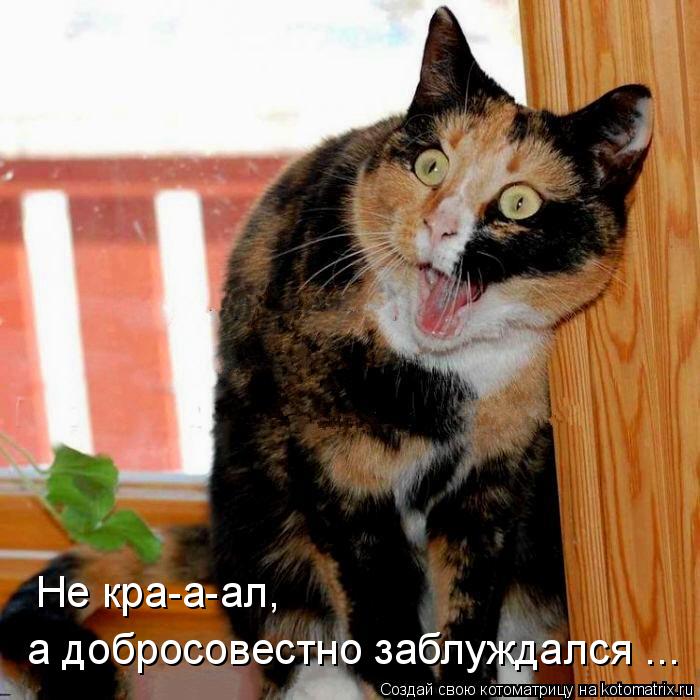 Не кра-а-ал, а добросовестно заблуждался ...... Котоматрица: Не кра-а-ал, а добросовестно заблуждался ...