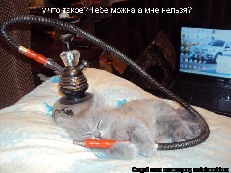 Котоматрица: Ну что такое? Тебе можна а мне нельзя?