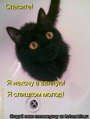 Котоматрица: Спасите!  Я нехочу в ванную! Я слишком молод!
